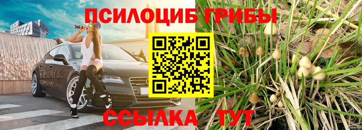 Галлюциногенные грибы Magic Shrooms  Галлюциногенные грибы MAGIC MUSHROOMS  Таганрог  Вход с VPN 
